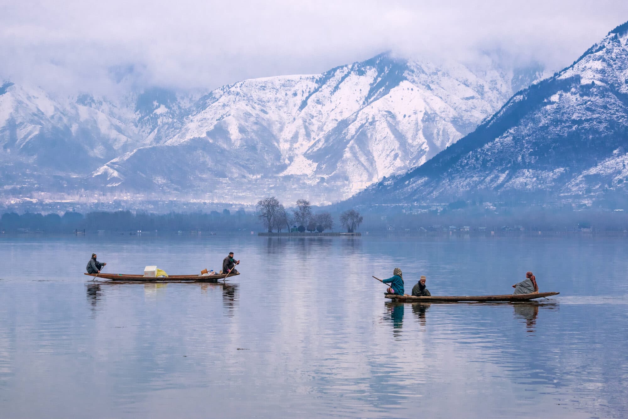 Shikara boats on Dal Lake, Srinagar
